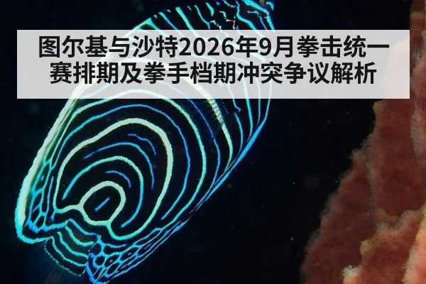 图尔基与沙特2026年9月拳击统一赛排期及拳手档期冲突争议解析