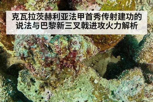 克瓦拉茨赫利亚法甲首秀传射建功的说法与巴黎新三叉戟进攻火力解析